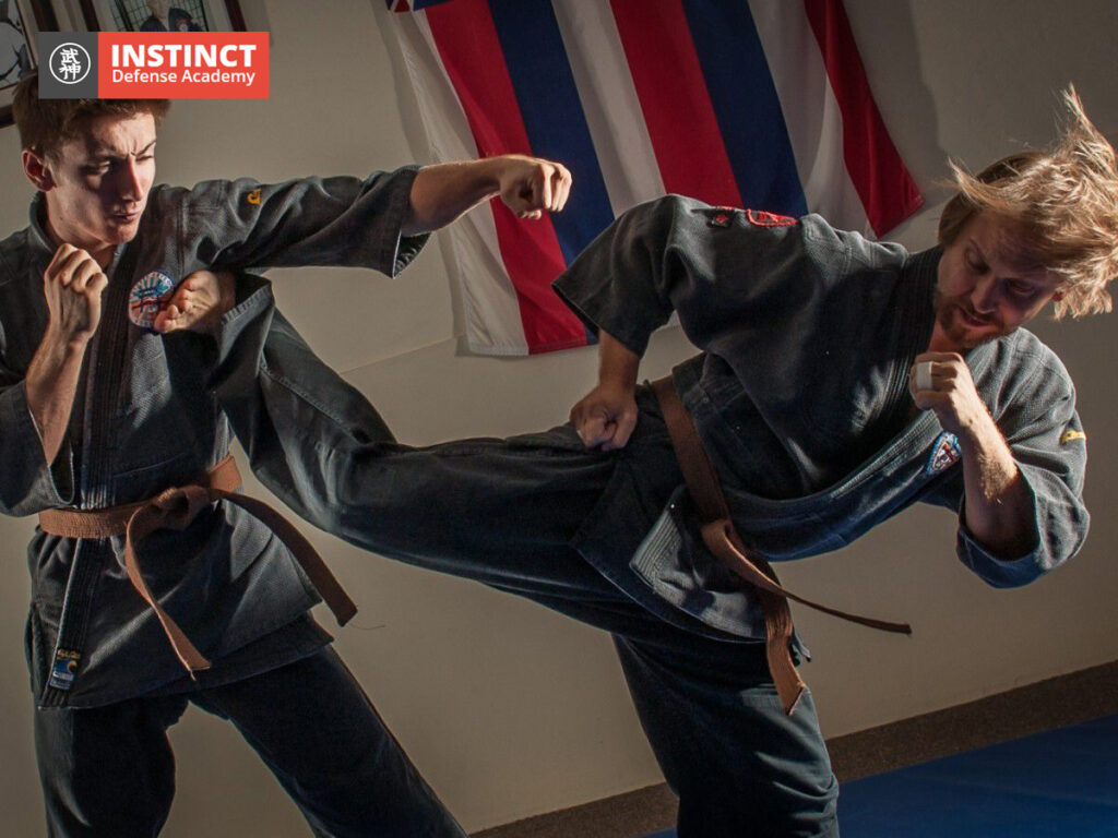 Karate Classes for Adult Beginners