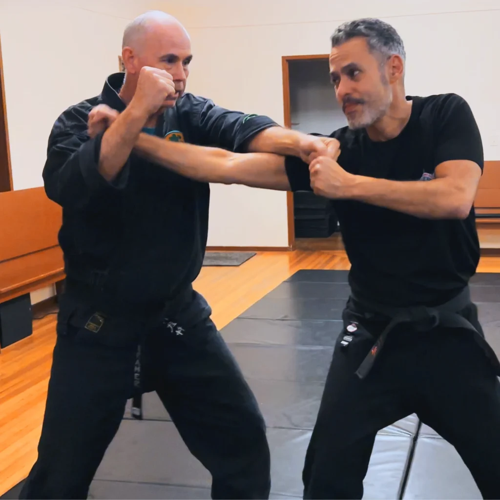 Martial Arts Schools