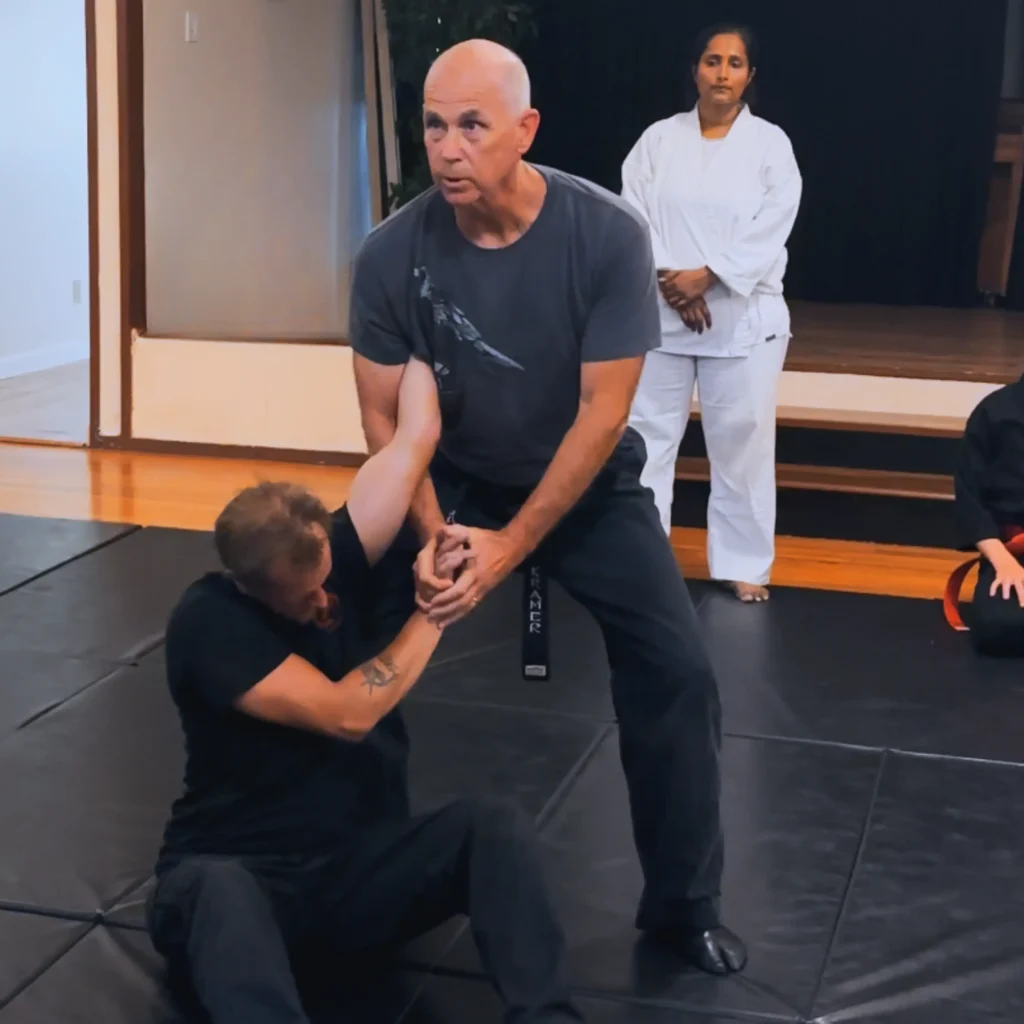 Online Martial Arts Training