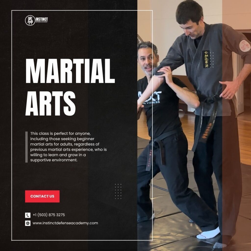 Martial Arts Online Training