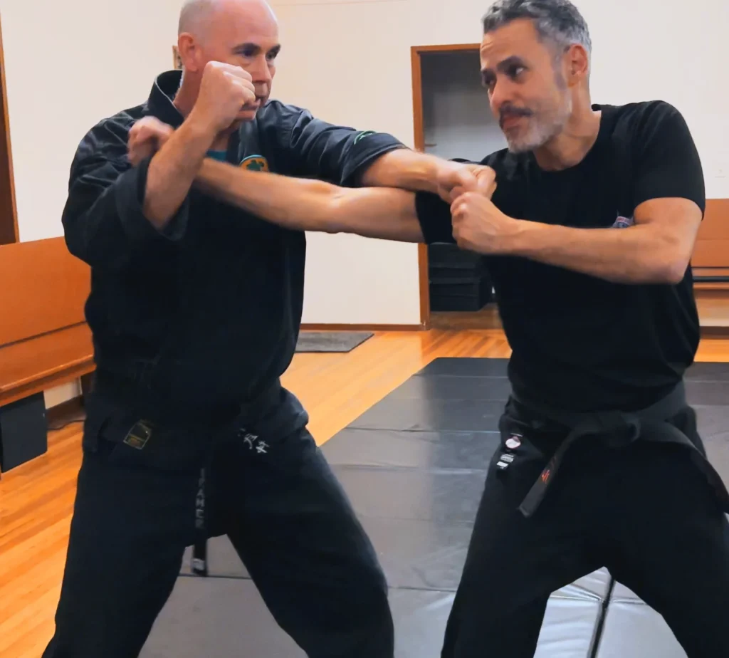 Martial Arts Schools