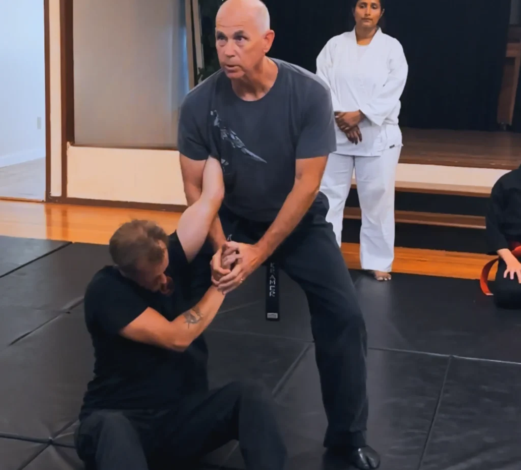Online Martial Arts Training