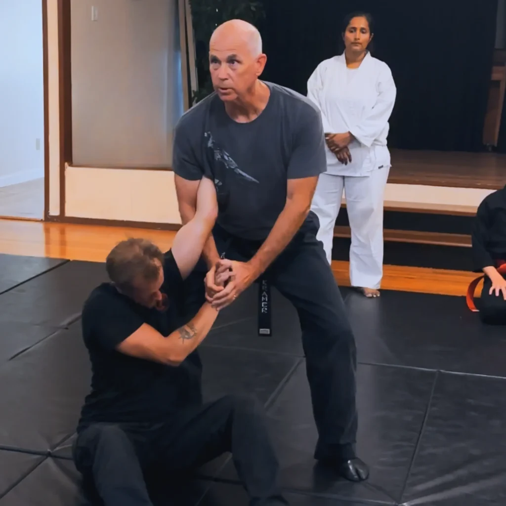 Online Martial Arts Training